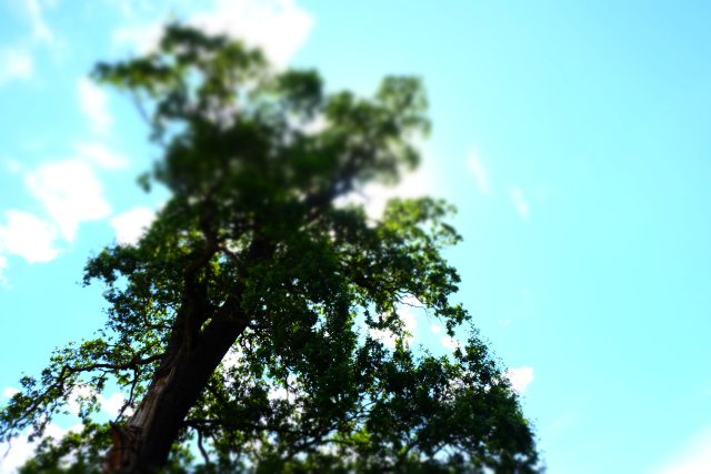 DSCF2124