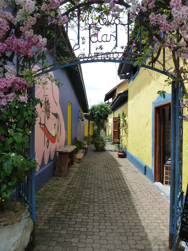 P1030920